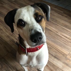 Meet your Posher, Erika